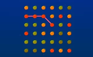 Orange Connect